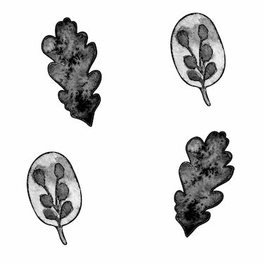 Black Leaves