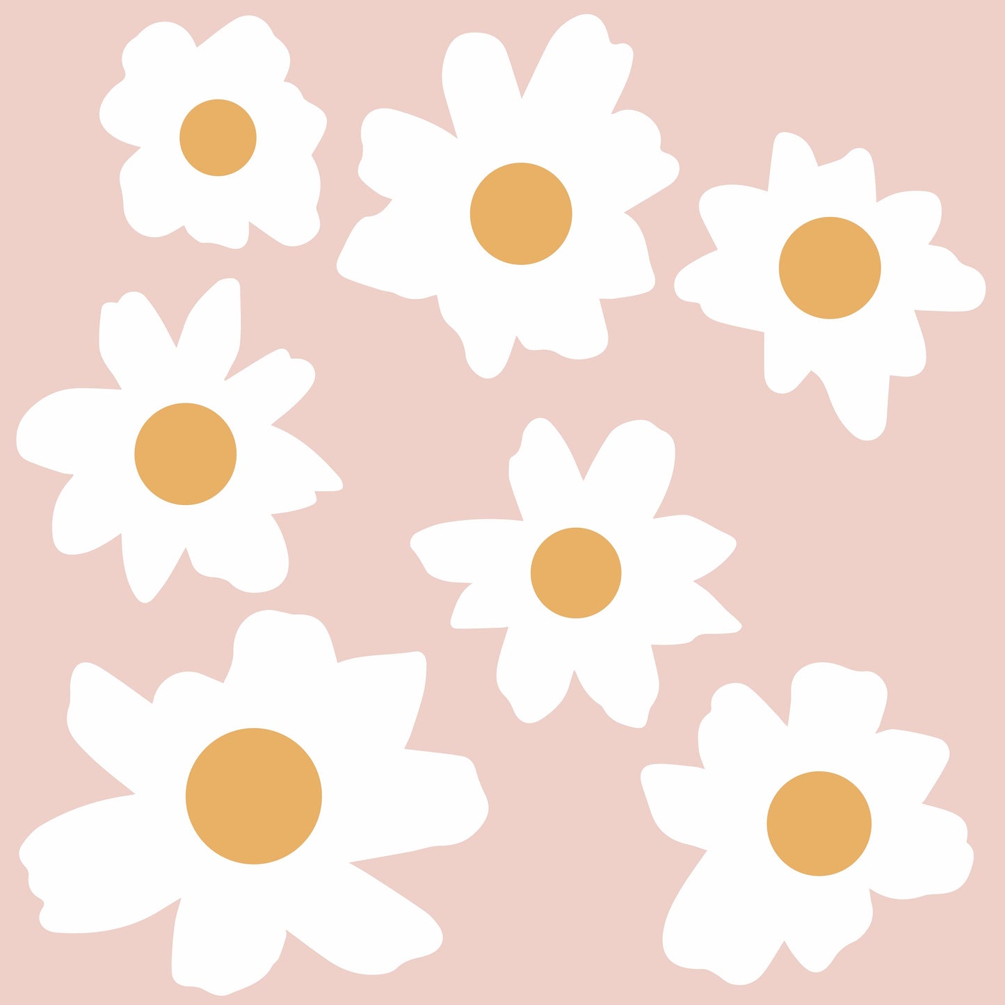 Messy Daisy