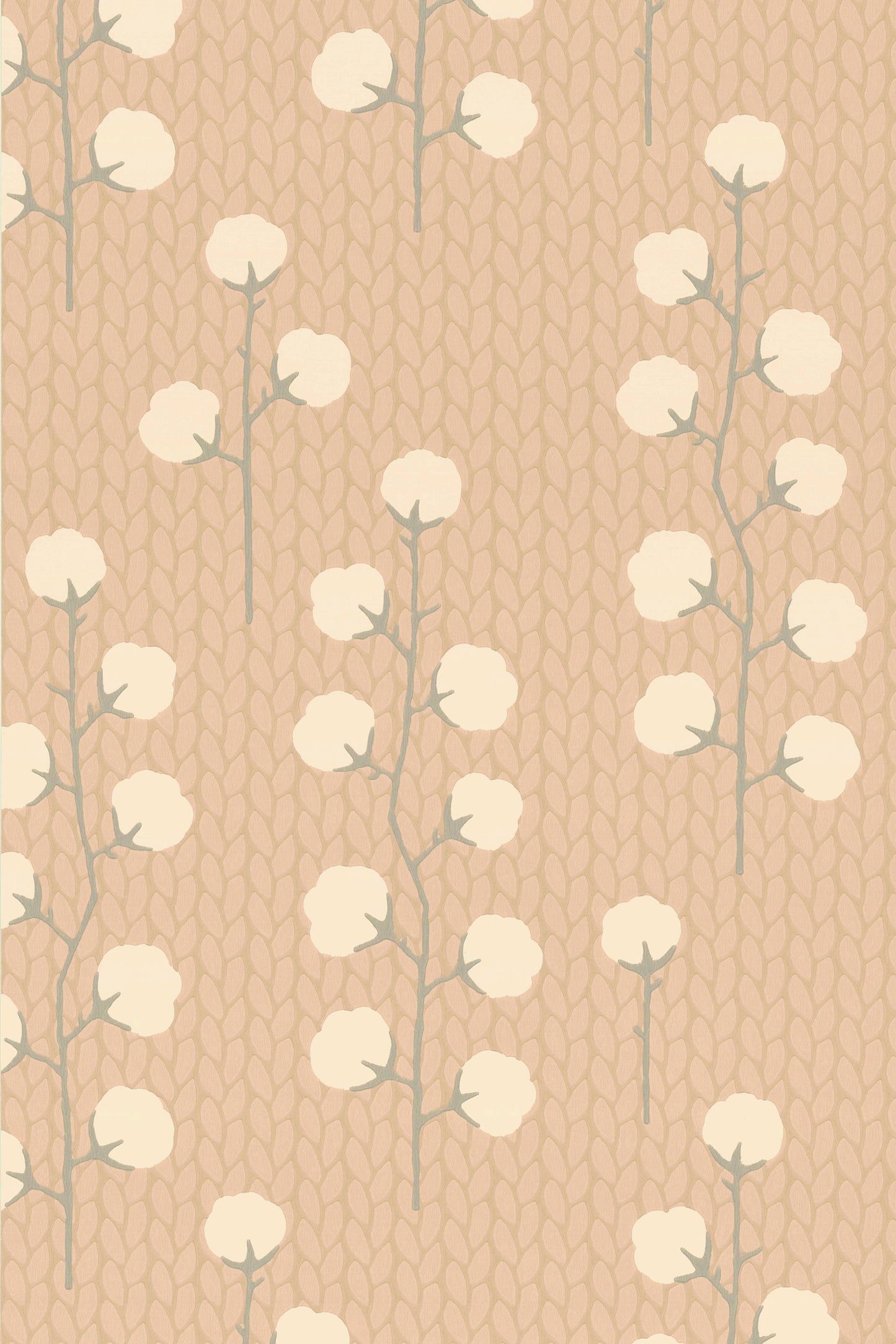 Sweet Cotton