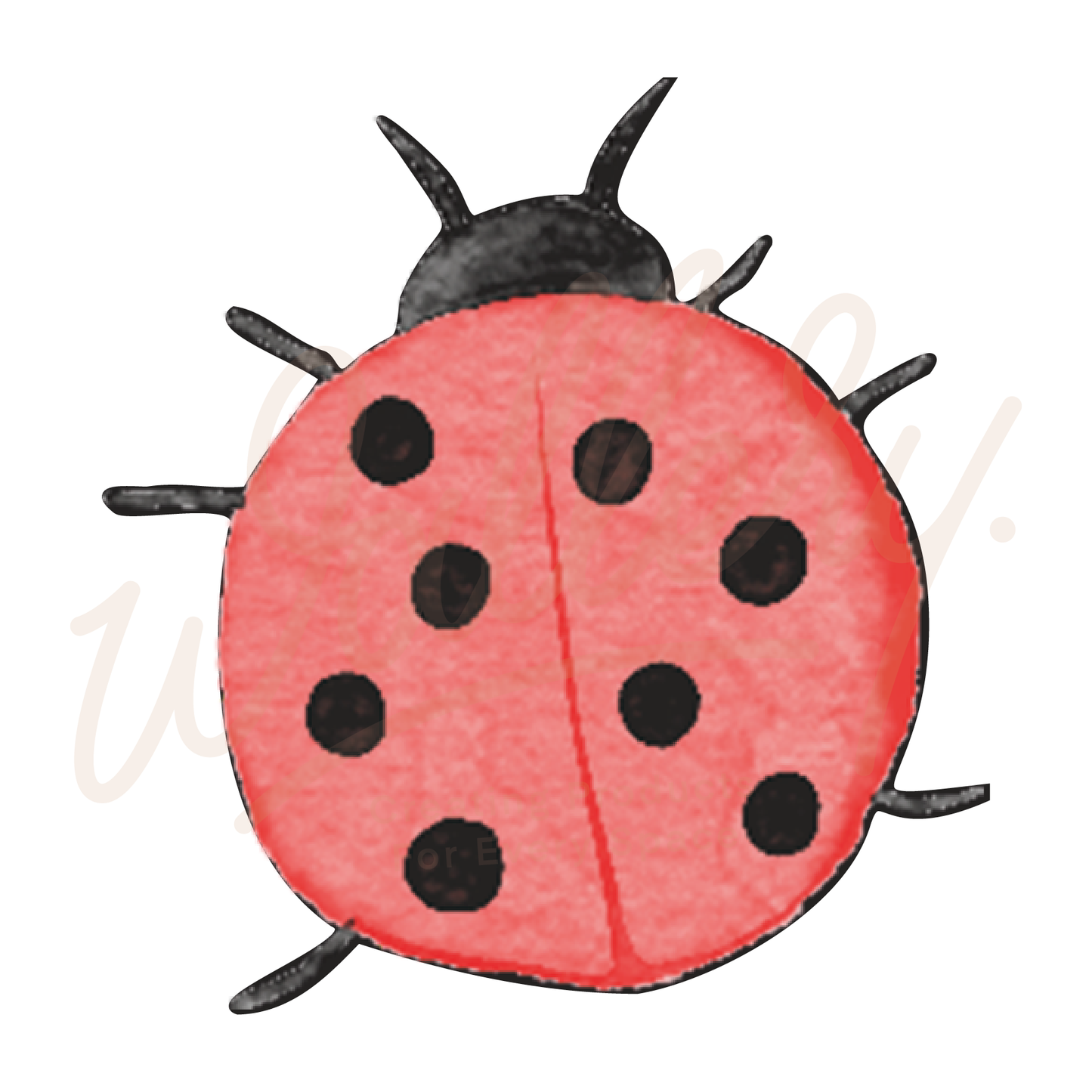 Lady Bug Decal