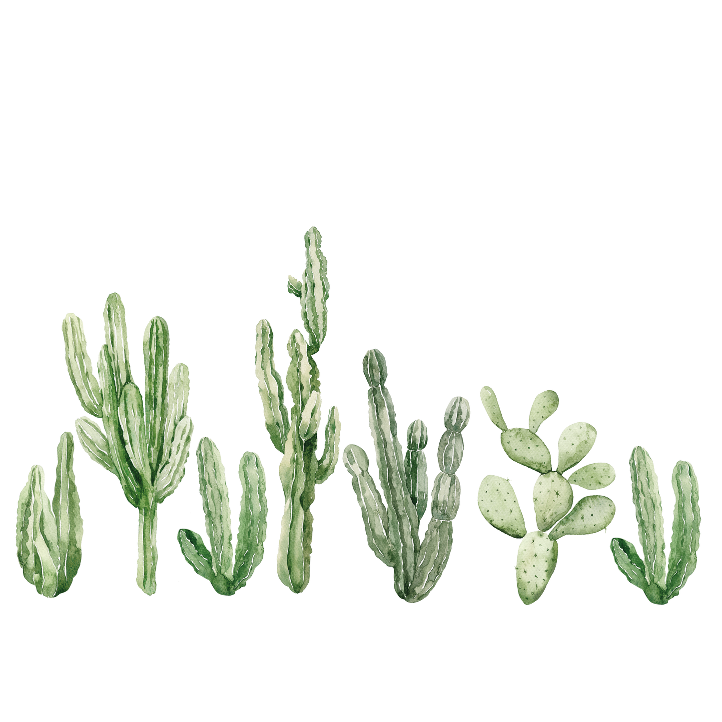 Deserted Cactus Dream Decal Set