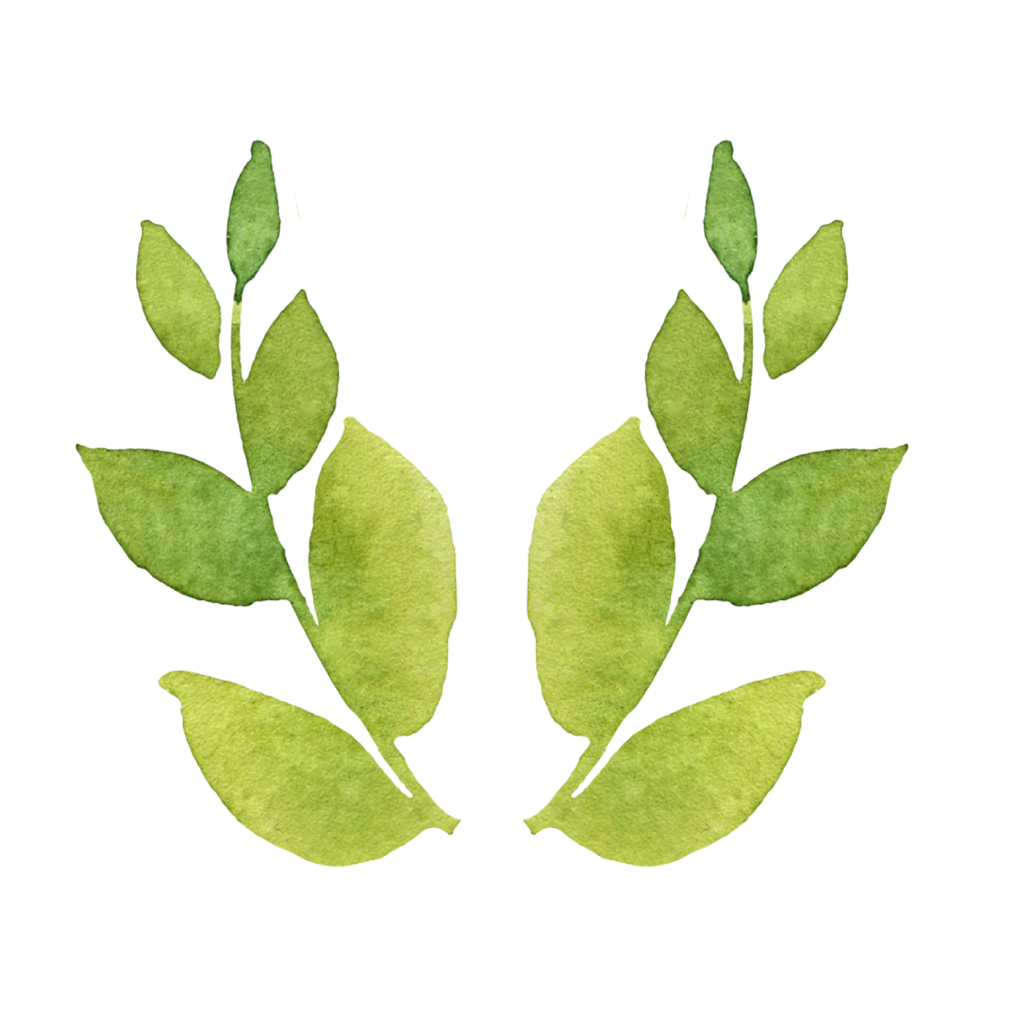 Watercolor Peaches and Leaves