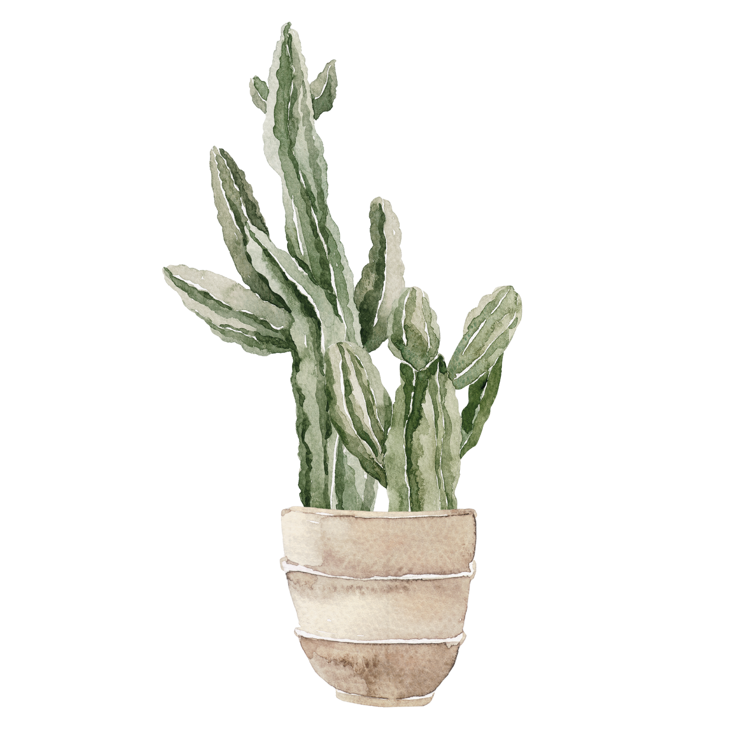 Cactus Pot Beige Decal